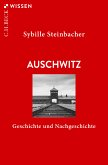 Auschwitz (eBook, ePUB)