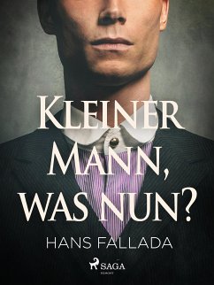 Kleiner Mann, was nun? (eBook, ePUB) - Fallada, Hans