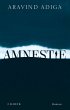 Amnestie (eBook, ePUB) - Bild 1