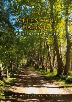 Vejen til Halsnæs (eBook, ePUB)