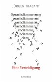 Sprachdämmerung (eBook, PDF)