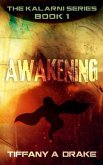 Awakening (eBook, ePUB) Awakening (eBook, ePUB)