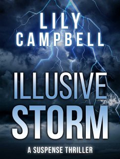 Cover Illusive Storm (eBook, ePUB)