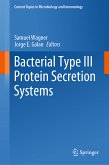 Bacterial Type III Protein Secretion Systems (eBook, PDF)