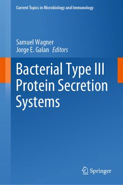 Bacterial Type III Protein Secretion Systems (eBook, PDF)