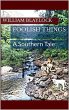 Foolish Things: A Southern Tale (eBook,... - Bild 1