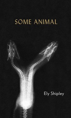 Some Animal (eBook, ePUB) - Shipley, Ely