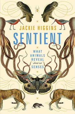 Sentient - Higgins, Jackie