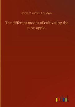 The different modes of cultivating the pine-apple
