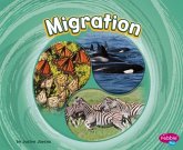 Migration Migration