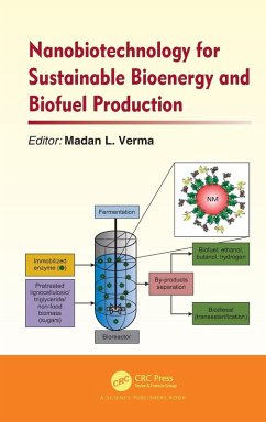 Cover Nanobiotechnology for Sustainable Bioenergy and Biofuel Production