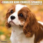 Just Cavalier King Charles Spaniels 2021 Wall Calendar (Dog Breed Calendar)