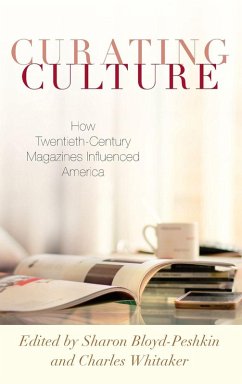 Cover Curating Culture