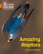 Amazing Raptors - Bild 1