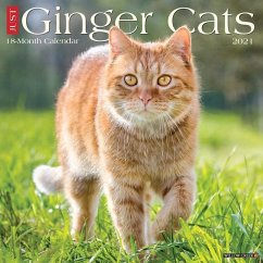 Just Ginger Cats 2021 Wall Calendar - Willow Creek Press