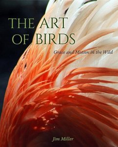 The Art of Birds - Miller, Jim