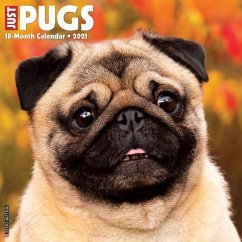 Just Pugs 2021 Wall Calendar (Dog Breed Calendar) - Willow Creek Press