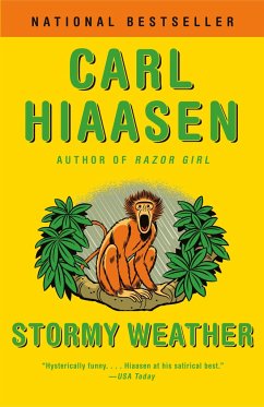 Stormy Weather - Hiaasen, Carl