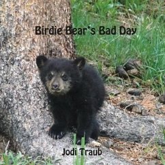 Birdie Bear's Bad Day - Traub, Jodi