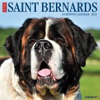 Just Saint Bernards 2021 Wall Calendar (Dog Breed Calendar)