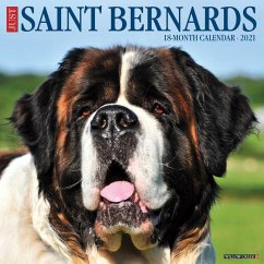 Just Saint Bernards 2021 Wall Calendar (Dog Breed Calendar) - Willow Creek Press