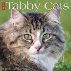 Just Tabby Cats 2021 Wall Calendar