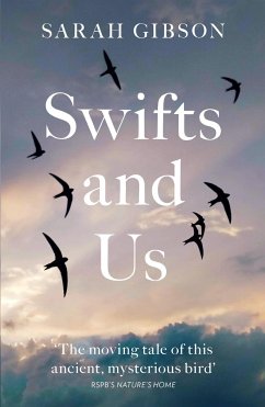 Swifts and Us - Gibson, Sarah