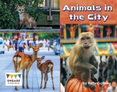 Animals in the City - Gaffney, Kelly