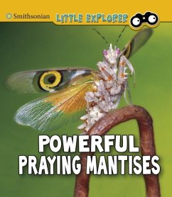 Cover Powerful Praying Mantises