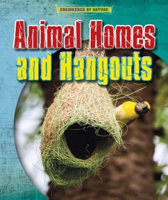 Animal Homes and Hang-outs - Spilsbury, Louise; Spilsbury, Richard