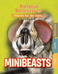Cover Minibeasts