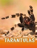 Cover Tarantulas