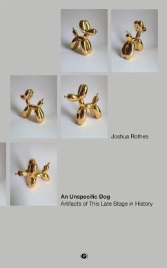 An Unspecific Dog: Artifacts of This Late Stage in History - Rothes, Joshua