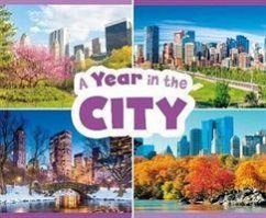 Cover A Year in the City