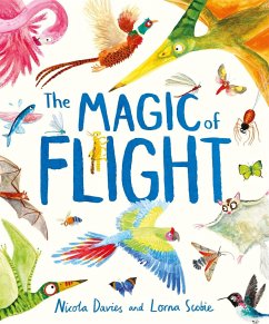 The Magic of Flight - Davies, Nicola