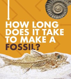 Cover How Long Does It Take to Make a Fossil?