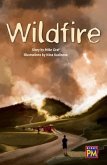 Wildfire!