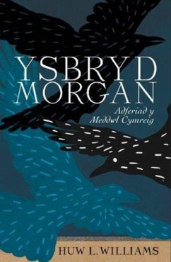 Cover Ysbryd Morgan