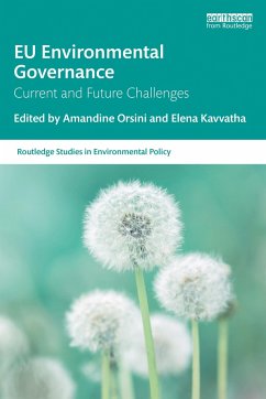 EU Environmental Governance