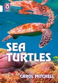 Sea Turtles: Band 10/White