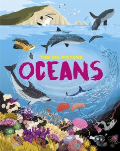 The Big Picture: Oceans - Richards, Jon