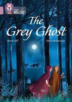 The Grey Ghost - Hill, Stuart