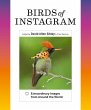 Birds of Instagram - Bild 1