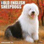 Just Old English Sheepdogs 2021 Wall Calendar (Dog Breed Calendar)