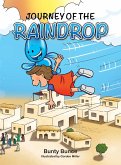 Journey of the Raindrop