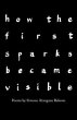 how the first sparks became visible - Bild 1