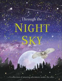 Through the Night Sky - DK