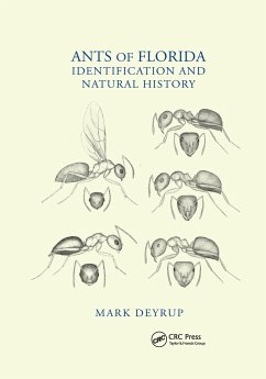 Ants of Florida - Deyrup, Mark