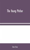 The Young Pitcher