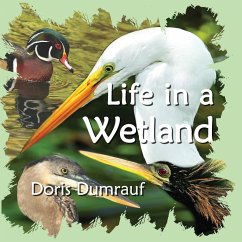 Life In A Wetland - Dumrauf, Doris